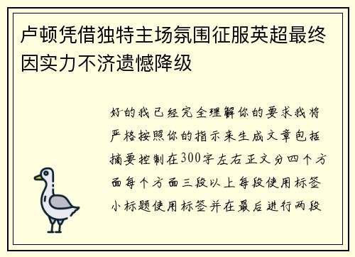 卢顿凭借独特主场氛围征服英超最终因实力不济遗憾降级